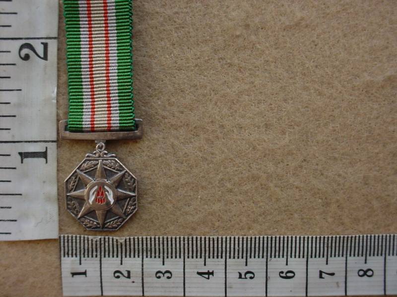 6707 SA Railways Police Star for Faithful Service miniature (Ref. SAP)