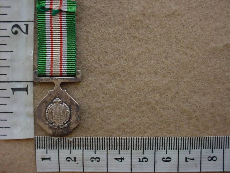 6707 SA Railways Police Star for Faithful Service miniature (Ref. SAP) - Image 2
