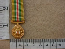 6709 SA Railways Police Star for Merit miniature (Ref. SAP)