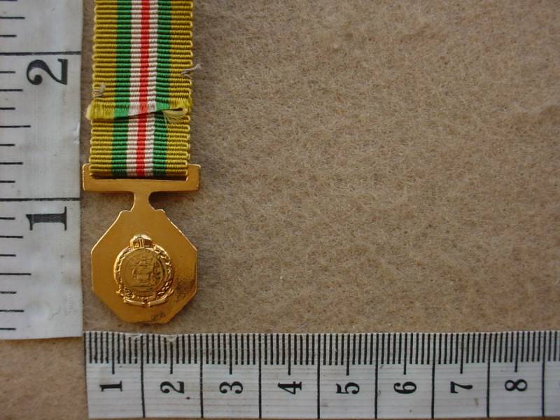 6709 SA Railways Police Star for Merit miniature (Ref. SAP) - Image 2