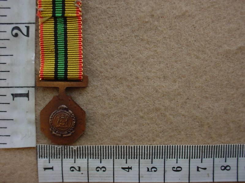 6710 SA Railways Police Medal for Faithful Service miniature (Ref. SAP) - Image 2