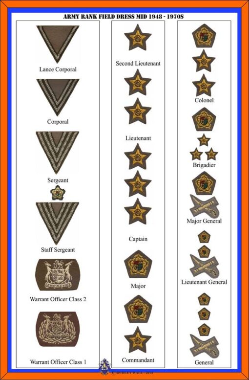 6990 South African Army Lieutenant rank epaulettes (DW1 74 10) - Image 3