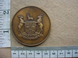 6729 SWA Territory Force 1989 medallion (SWA)
