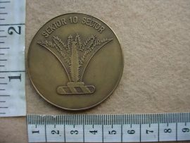 6734 SWA 101 Battalion 10 Years medallion (Ref. SWA)