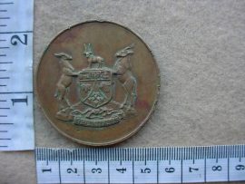 6731 SWA Territory Force 1989 medallion (SWA)