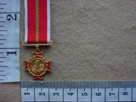 6738 SWA Police Star for Outstanding Service miniature, scarce (SWA Pol)