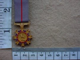 6742 SWA Police Star for Merit miniature (SWA)