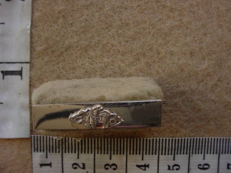 6751 SWA Police Star for Faithful Service ribbon Bar (SWA)
