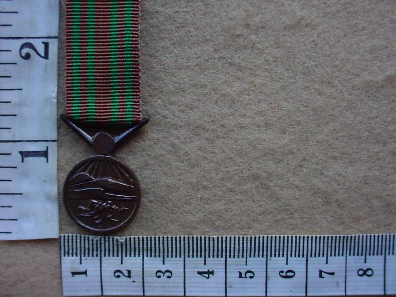 6753 SWA Police Medal for Faithful Service miniature (Ref. SWA)