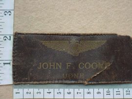 8719 US Naval Reserve Pilot wings (Ref. USAF)