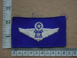 8713 USAF Navigator wings  Master (Ref. USAF)