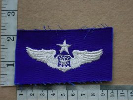 8712 USAF Navigator wings  Senior (Ref. USAF)