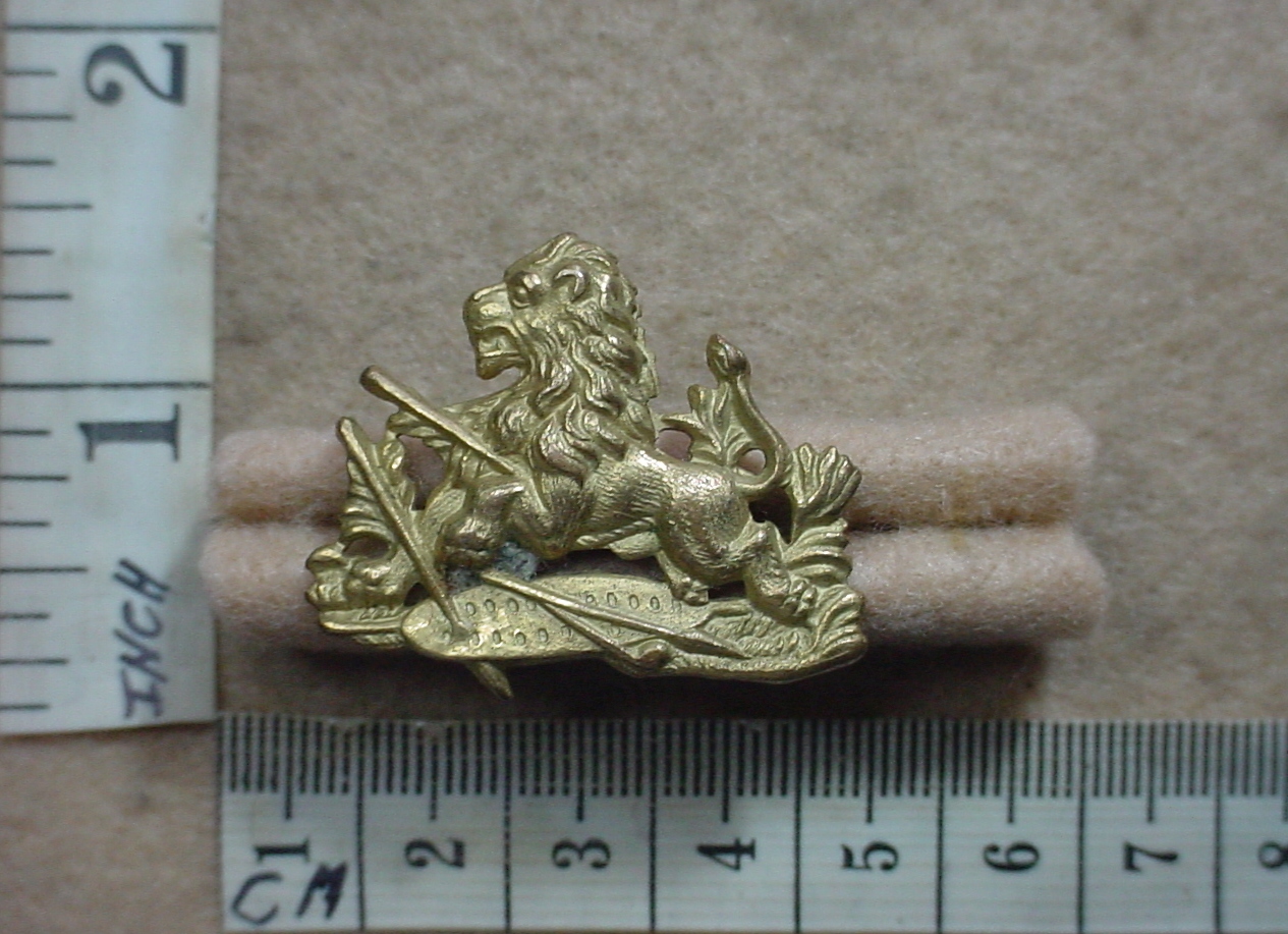 8237-1 British South Africa Police collar badge (CO3362)