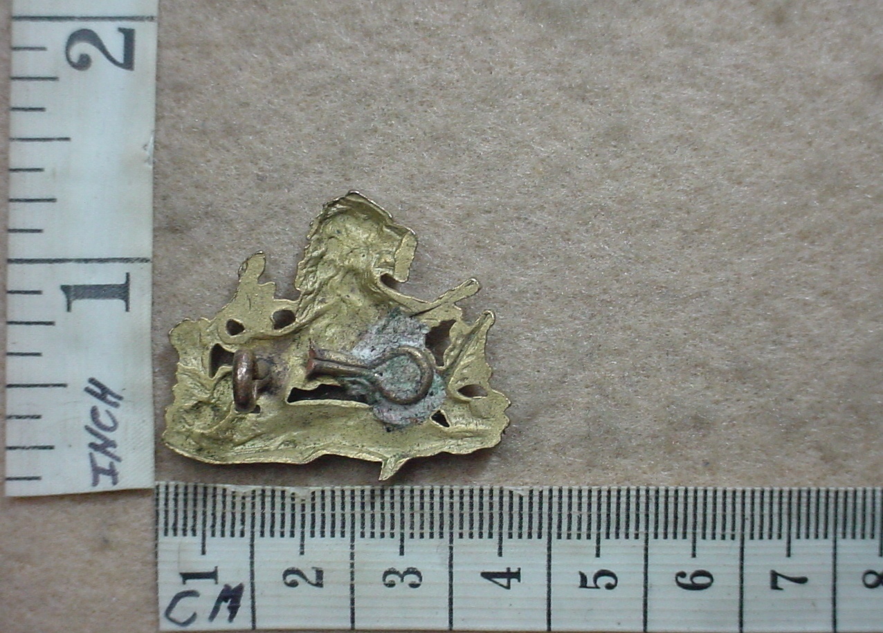 8237-1 British South Africa Police collar badge (CO3362) - Image 2