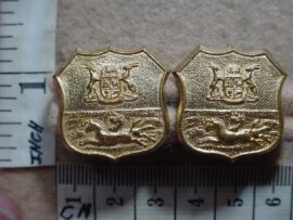 192-1 Durban Light Infantry collar badges, pair (CO424-CO426)