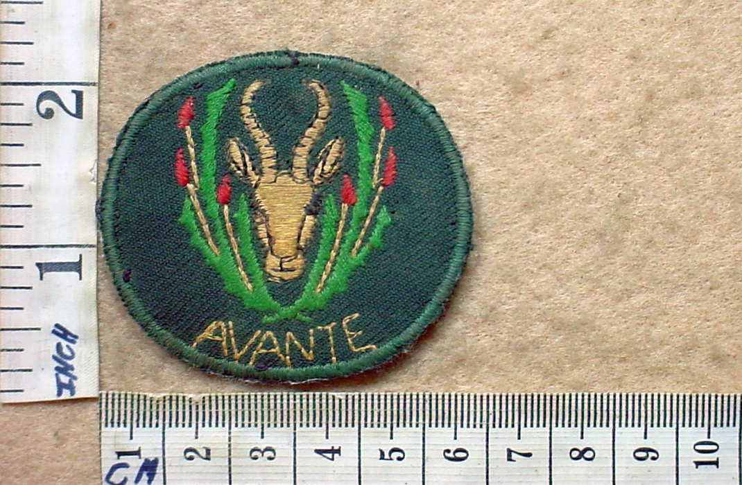 8484 5 South African Infantry beret badge - 5 SAI (DW1 13 11)
