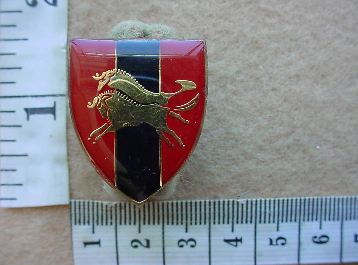 9875 Natal Command Provost Unit affiliation pocket fob badge (F364)