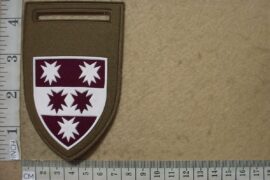 5856 5 Medical Battalion Group arm flash (F925)