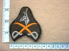 2956-1 South African Army Advanced Physical Training Instructor badge (DW1 9 36)