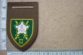 5689 Chief of Staff Intelligence arm flash (F482)