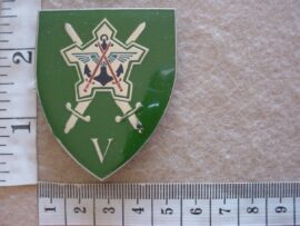 5695 Chief of Staff Finance arm flash (F492)