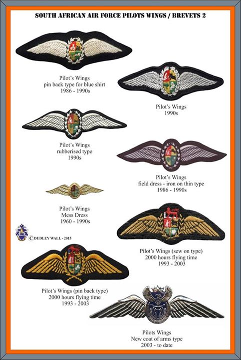 6981-1 South African Air Force Pilots wings, 2000 hours (DW1 58 13) - Image 3