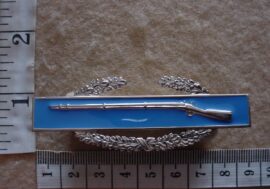 4560 United States Army Combat Infantry Badge (Army USA)
