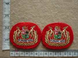 6442-1 South African Army Regimental Sergeant Major rank badges (AD2077)