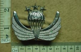 2319 Afghanistan Army parachute wings, 1st Class (Para Afghanistan)