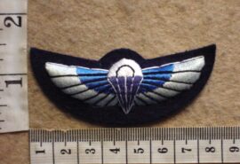 3911-2 British 22nd Special Air Service parachute wings (Para England)
