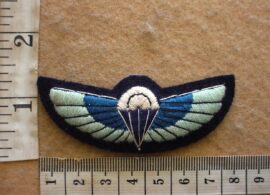 3911-1 British 22 Special Air Service paratrooper wings (Para England)