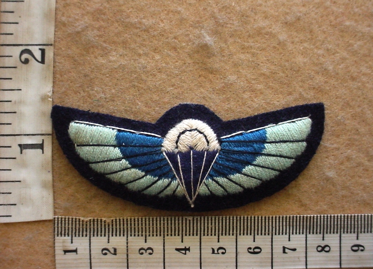 3911-1 British 22 Special Air Service paratrooper wings (Para England)