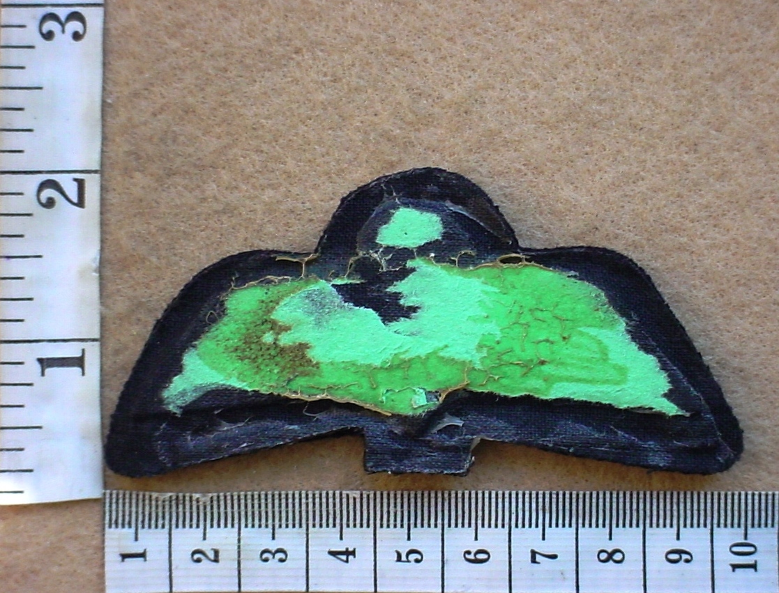 3865 Pakistan Army parachute wings (Para Pakistan) - Image 2
