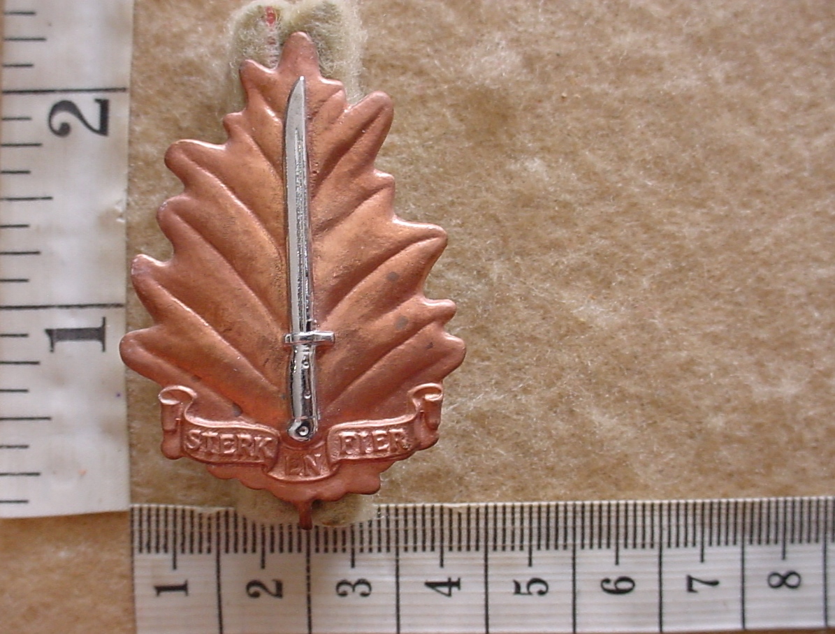 436 Regiment University of Stellenbosch cap badge (CO907) - Image 2