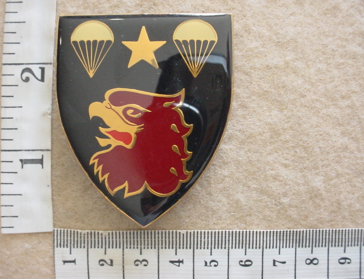 10954-1 4 Parachute Battalion arm flash, error (F16)