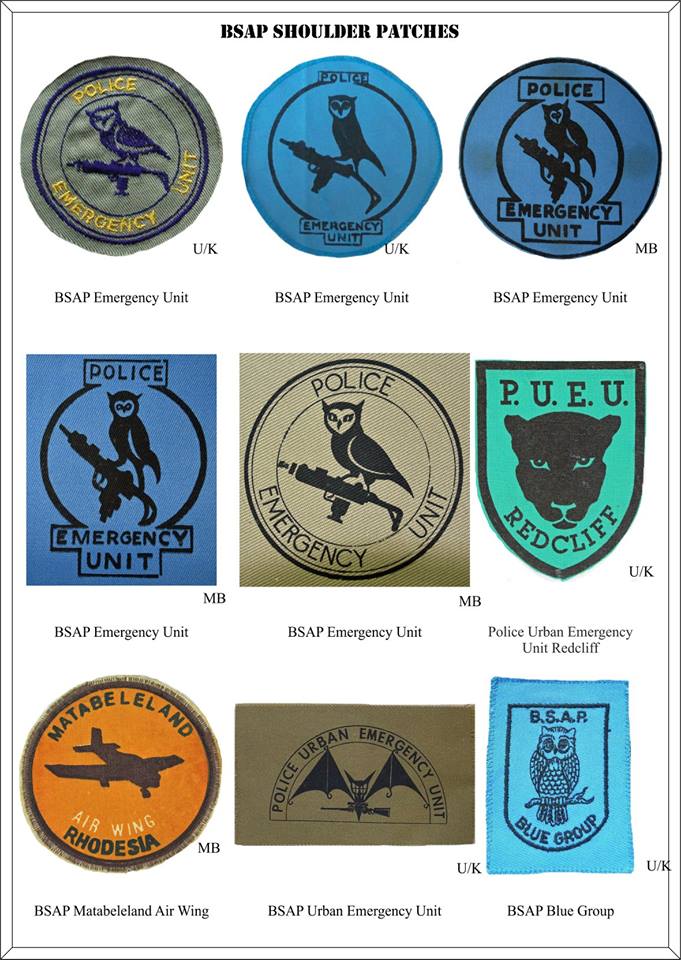 2022 British South Africa Police Emergency Unit arm patch (C617) - Image 2