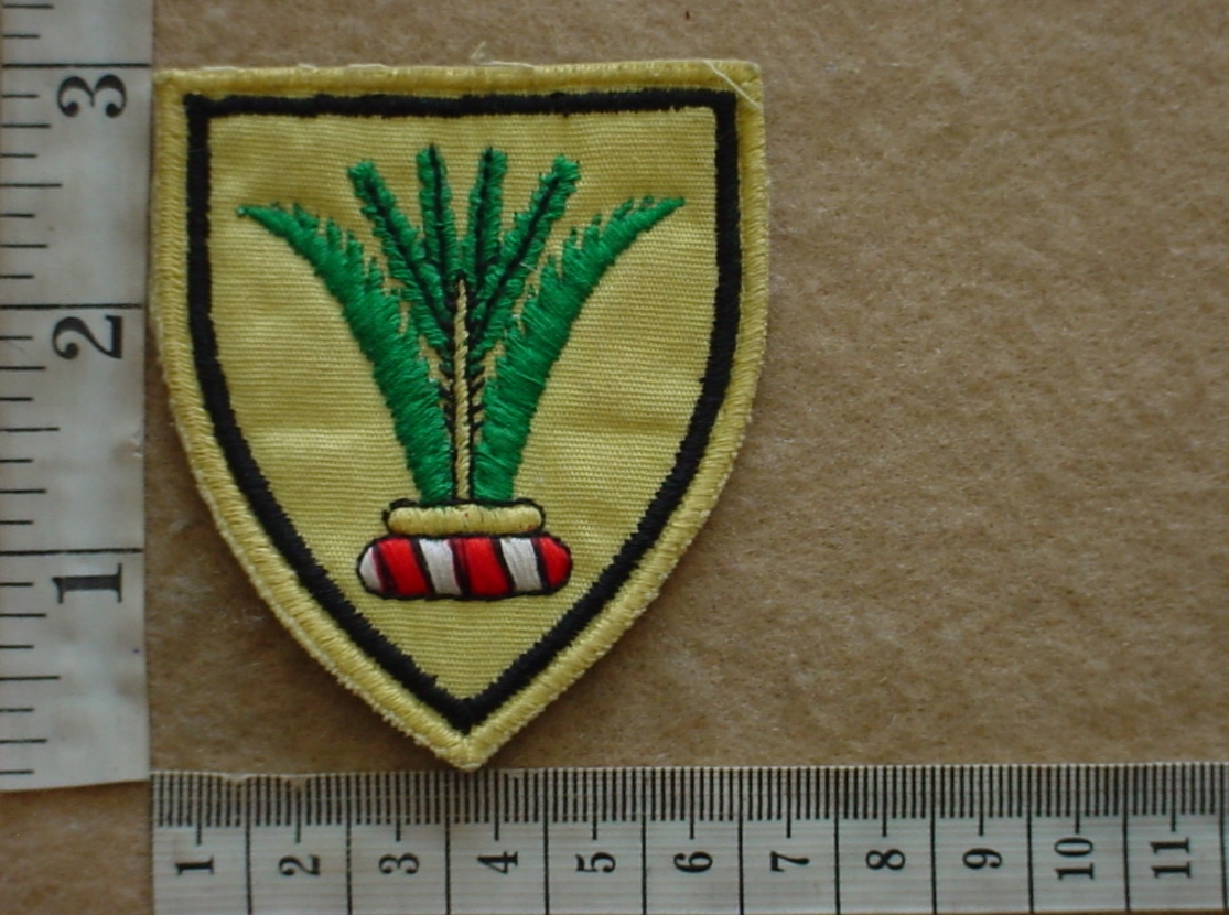 7069 South West Africa Army Sector 10 Headquarters arm flash (C1128)