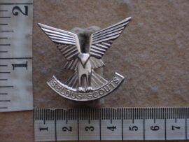 1467-1 Rhodesian Selous Scouts cap badge (FAKE) (CO3057)