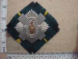 166 Cape Town Highlanders Balmoral cap badge (CO220)