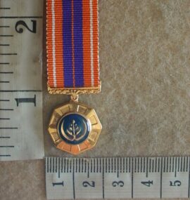 9380 Pro Patria Medal, miniature mess dress (SA)