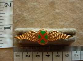 1800-3 SA Air Force Commando Pilot wings (C288/AD1101)