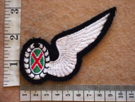 2118 South African Air Force Commando Observer wing (C689/AD3361)
