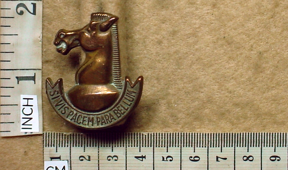 8473 South African Army Battle School cap badge (CO2444)