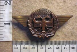7183 SA Air Force Task Force Paratrooper wings (AD1068)