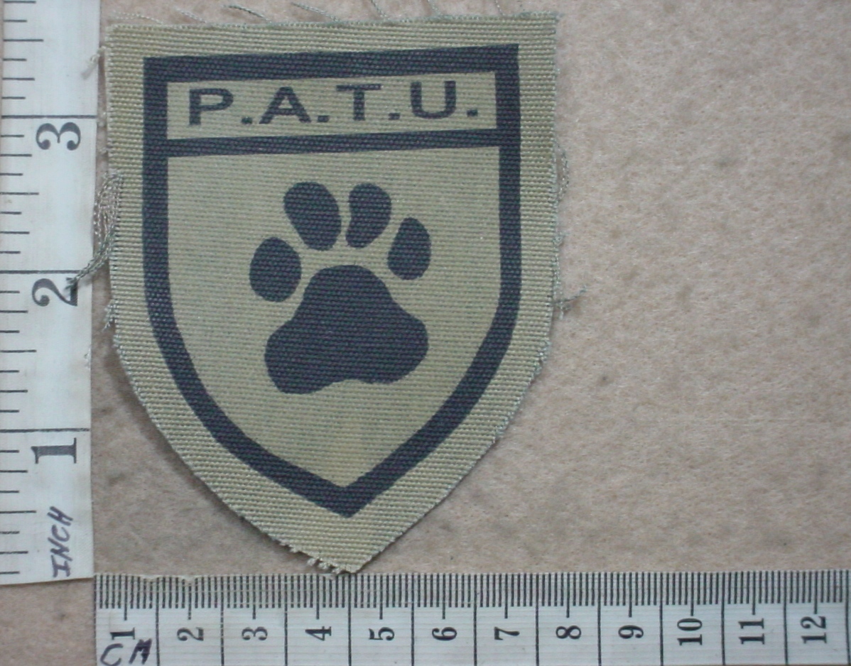 8251-1 Rhodesian British South Africa Police Anti Terrorist Unit cap badge (C609)