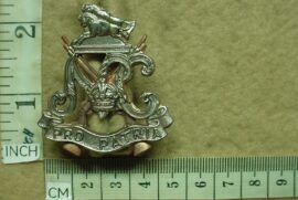 8943 Natal Carbineers cap badge (CO373)