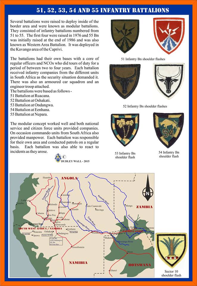 9877 51 Infantry Battalion arm flash (F430) - Image 3