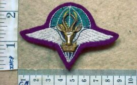 5023 South African 1 Parachute Battalion beret badge, Reserve Battalion (C318)