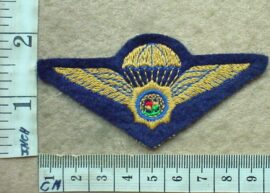 2113 South African Police Special Task Force parachute wings, blue (C366)
