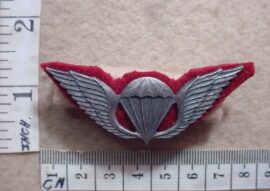 6757 Transkei Army parachute wings, Officers Silver, Special Forces backing (C739)